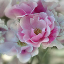 P Paul Coogan - @PPaulCoogan - Twitter