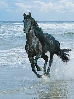 albatool_am_n's profile picture. البـ T ــول