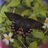 toku29133902's profile image