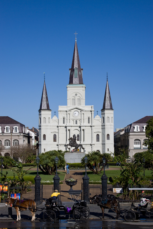 medgasman's profile picture. Widow maker heart attack survivor since 2010.  Not a bot.