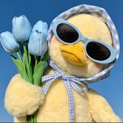 22520096047ket's profile image