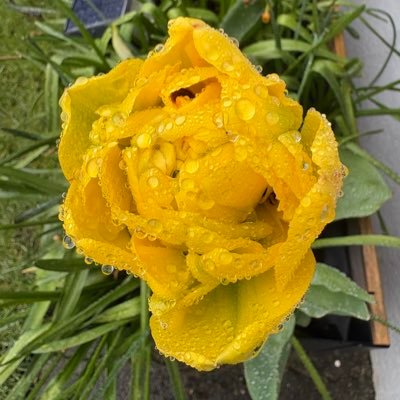 WHMyPerspective's profile picture. “We don’t see things as they are, we see them as we are,” Anaïs Nin.