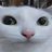 ikay_nim's profile image
