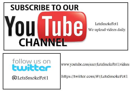 LetsSmokePot1's profile picture. Our videos are unique and certainly entertaining! So FOLLOW us on twitter and SUBSCRIBE to our channel on youtube: LetsSmokePot1 ★ We will follow back ☺