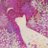 kittyyxxv's profile image