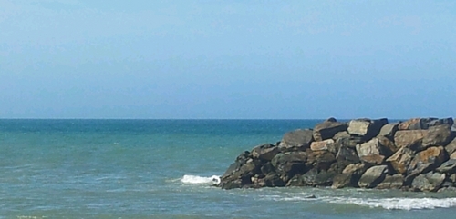 playerox_ve's profile picture. 