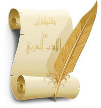 شعر / قصائد / أدب / حكم. من مختلف العصور. وقليلا من النحو والإملاء