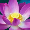 Marcia McDowell - @MarciaMcDowell - Twitter