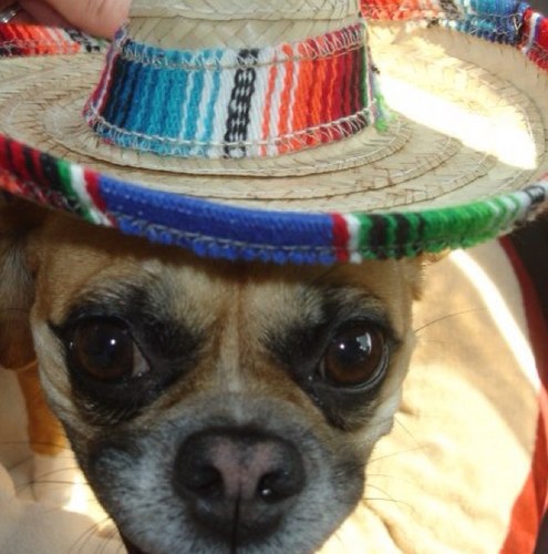 dnb_madbro's profile picture. 