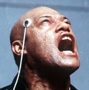 withicels's profile picture. You have to let it all go, Neo. Fear, doubt, and disbelief. Free your mind.