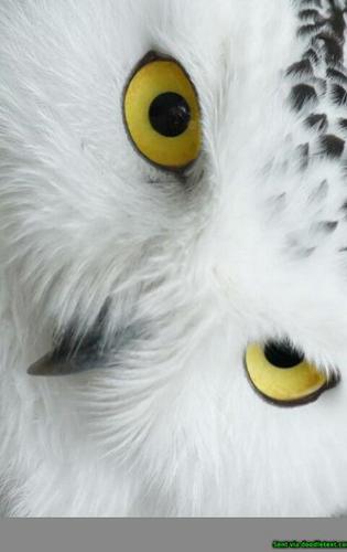 JasonBradshaw90's profile picture. 