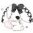 akittyprincess's profile image