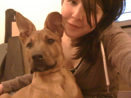 I'm Jig. I used to live on the streets. Now I live in a cute little house with my best pal Dougal and a bunch of cats :)