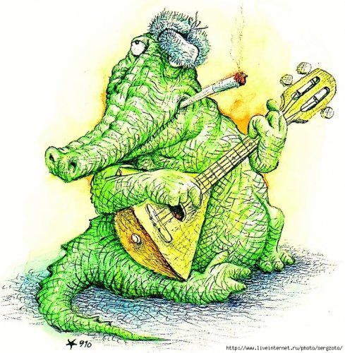 akolteniuk's profile picture. 