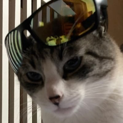 tomasmartg's profile image