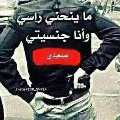 فحل صعيدى صغير جاد