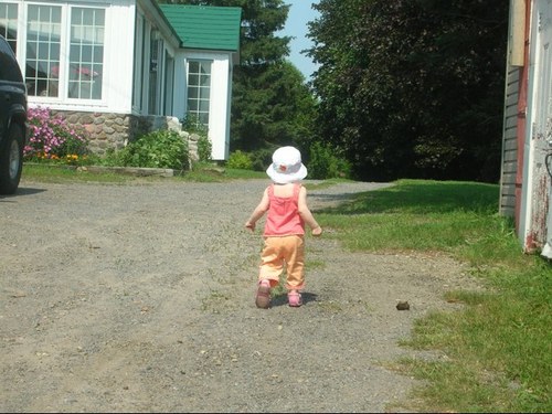 mtlvt's profile picture. 