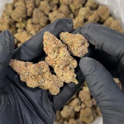 ExoticsNews's profile picture. All legit sources and weed linkup 📲📲🤙