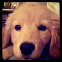 Jill Hennessy - @jillhennessy23 - Twitter