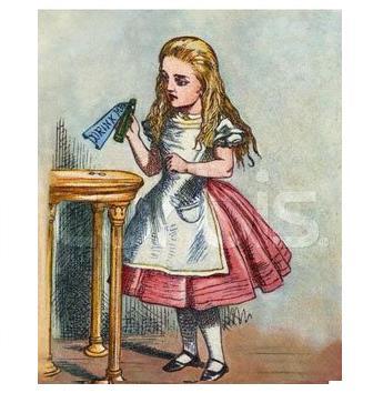 ldbarb's profile picture. Hanging around the kitchen these days.