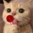 kucing96914's profile image