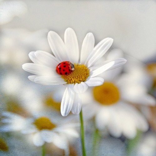 angelfire6573's profile picture. https://t.co/meZRmZeSy8
https://t.co/o4UcWrXYXg