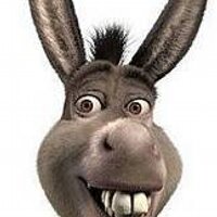 Mr. Donkey(@MrDonkey1) 's Twitter Profileg