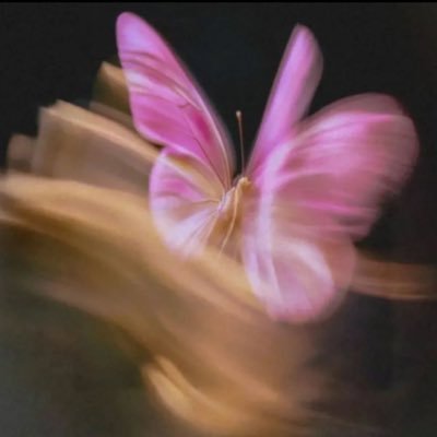 rl2__x's profile image
