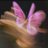 rl2__x's profile image
