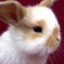 owen lee quick - @owenleequick - Twitter