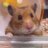 mame0310xx's profile image