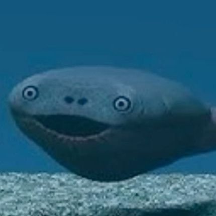 veuonsi_x's profile picture. Sometimes you just gotta GAMBLE, Take a risk. But not for me I'm scared as shit.