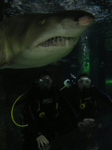 Maxine1711's profile picture. What goes around comes around!!! Karma Biatch!!!!