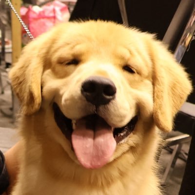 GloY 🐻🍞🧢🍉