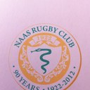 Paul Stapleton - @naasstapo - Twitter