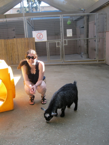 EMcLees's profile picture. I love cupcakes