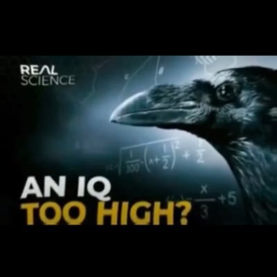 かけ算むずかしい