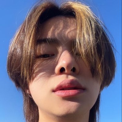 xy the whimxycaleo °❀⋆.ೃ࿔*:･