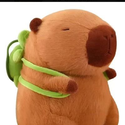 ESTOY BIEN PANZON Y MI PITO ES DE 5 CM JAJA