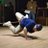 skyhook062403's profile image