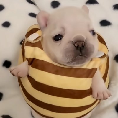 🧟‍♀️🧟‍♀️🧟‍♀️🧟‍♀️