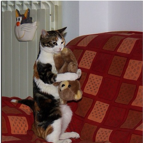 mister_punchy's profile picture. 