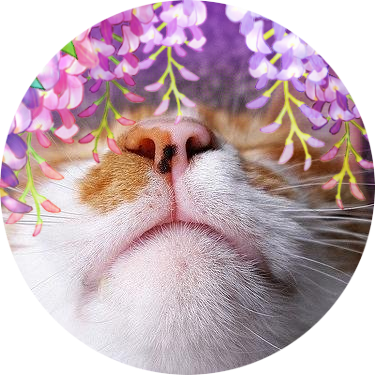 3531TANAKA's profile picture. 名前が変わりました。うっかり削除してしまったのですが、以前のアカウント名はtanaka3531です。改めまして、どうぞヨロシクm(_ _)m。
Blueskyアカウント：@3531tanaka.bsky.social
スレッズアカウント：https://t.co/CarVVksyK3
