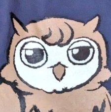 🦉よつぬた🦉