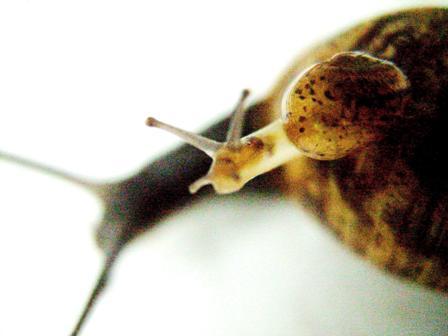 seedmix's profile picture. A sinner saved by grace alone, through faith alone, in Christ alone, to God's glory alone