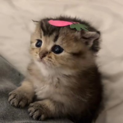 i'm tired