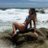 nataliaheq's profile image