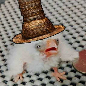 Aqqūlaq