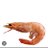 yoicazta's profile image