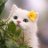xofairyyyy's profile image